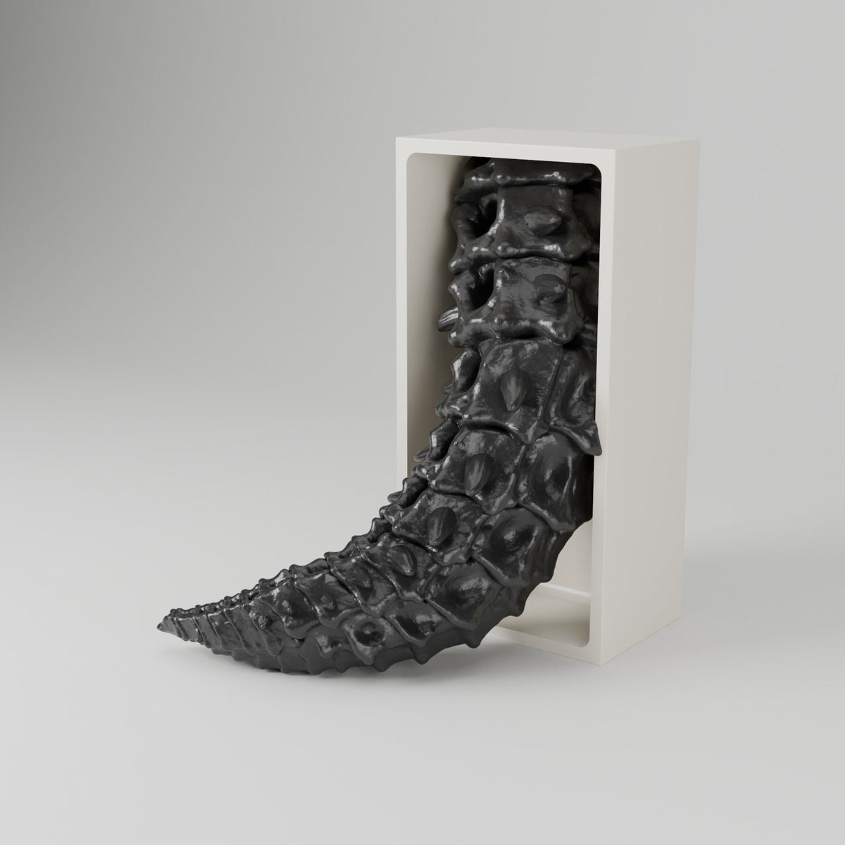Bone Dragon Book Nook – Skeleton Dragon Head or Tail Bursting from Your Bookshelf - Northern Foundry