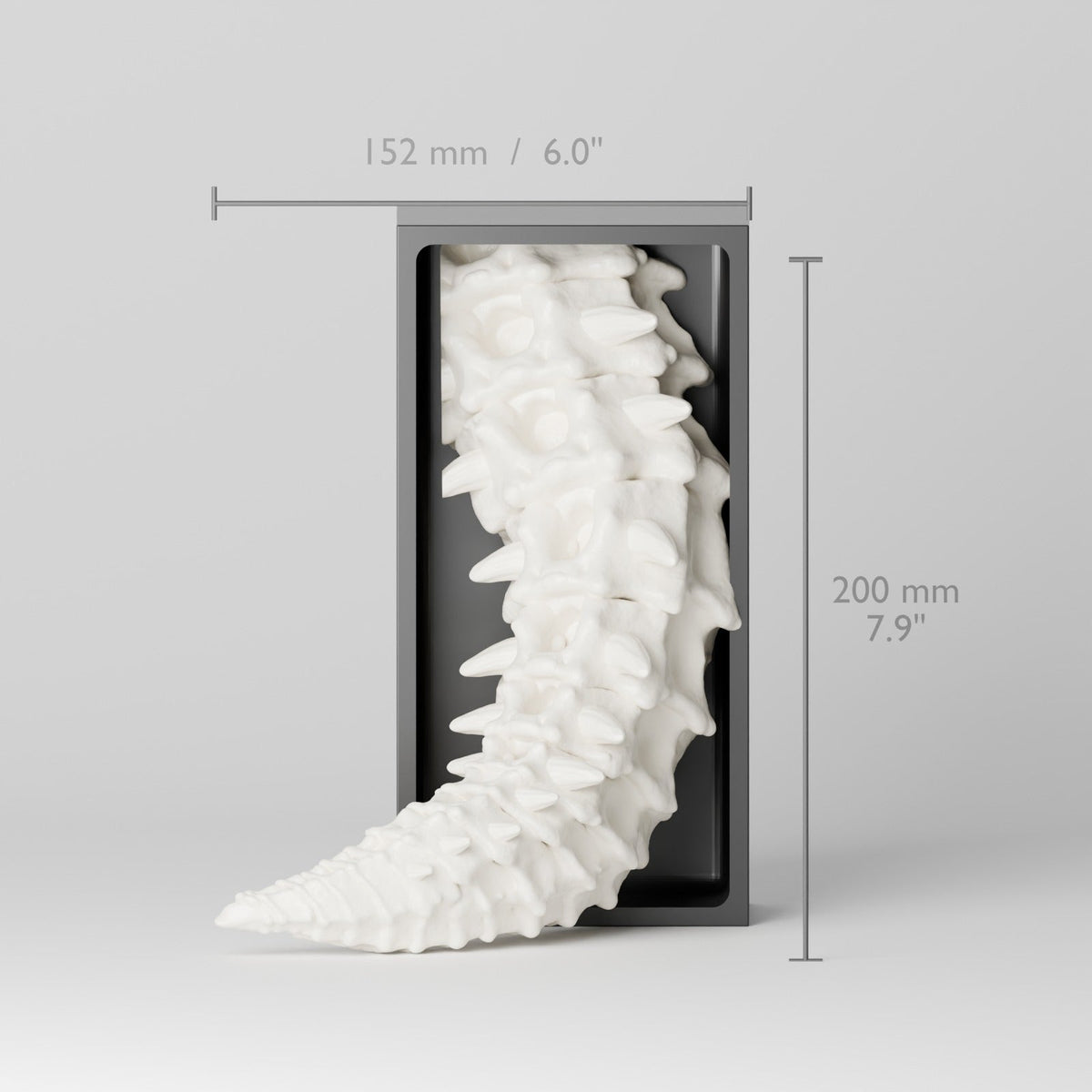 Bone Dragon Book Nook – Skeleton Dragon Head or Tail Bursting from Your Bookshelf - Northern Foundry