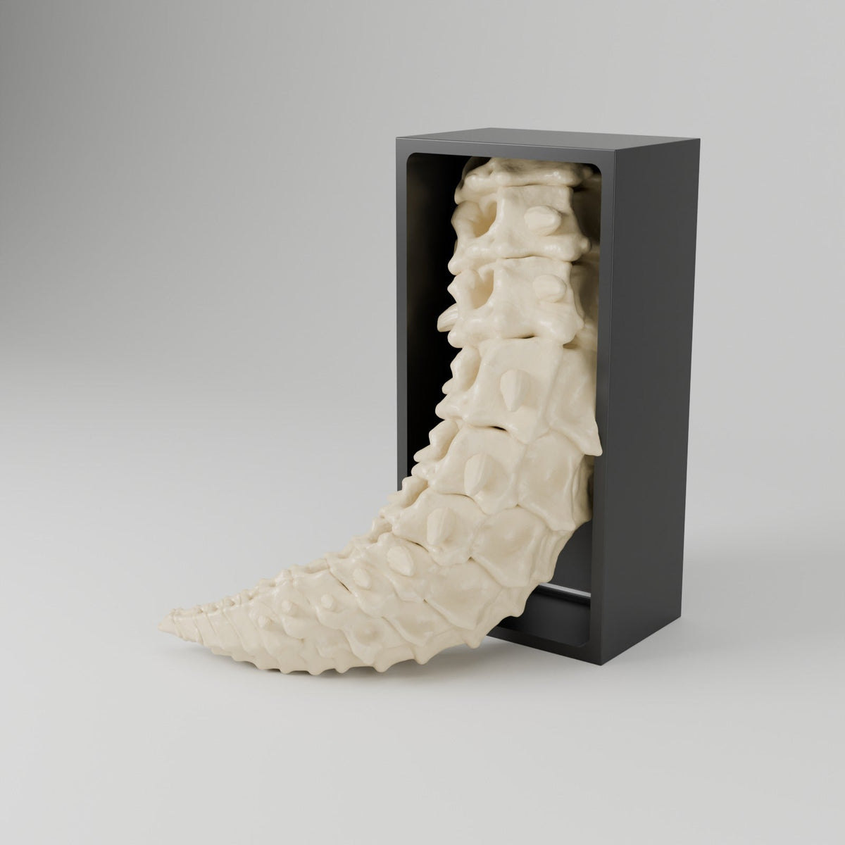 Bone Dragon Book Nook – Skeleton Dragon Head or Tail Bursting from Your Bookshelf - Northern Foundry