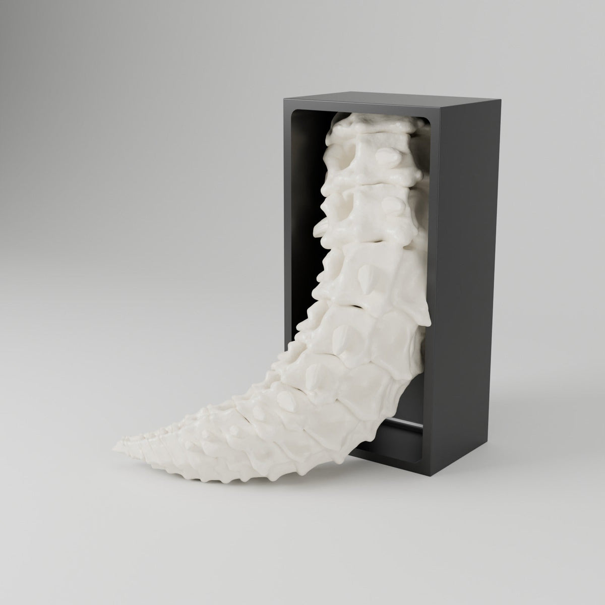 Bone Dragon Book Nook – Skeleton Dragon Head or Tail Bursting from Your Bookshelf - Northern Foundry