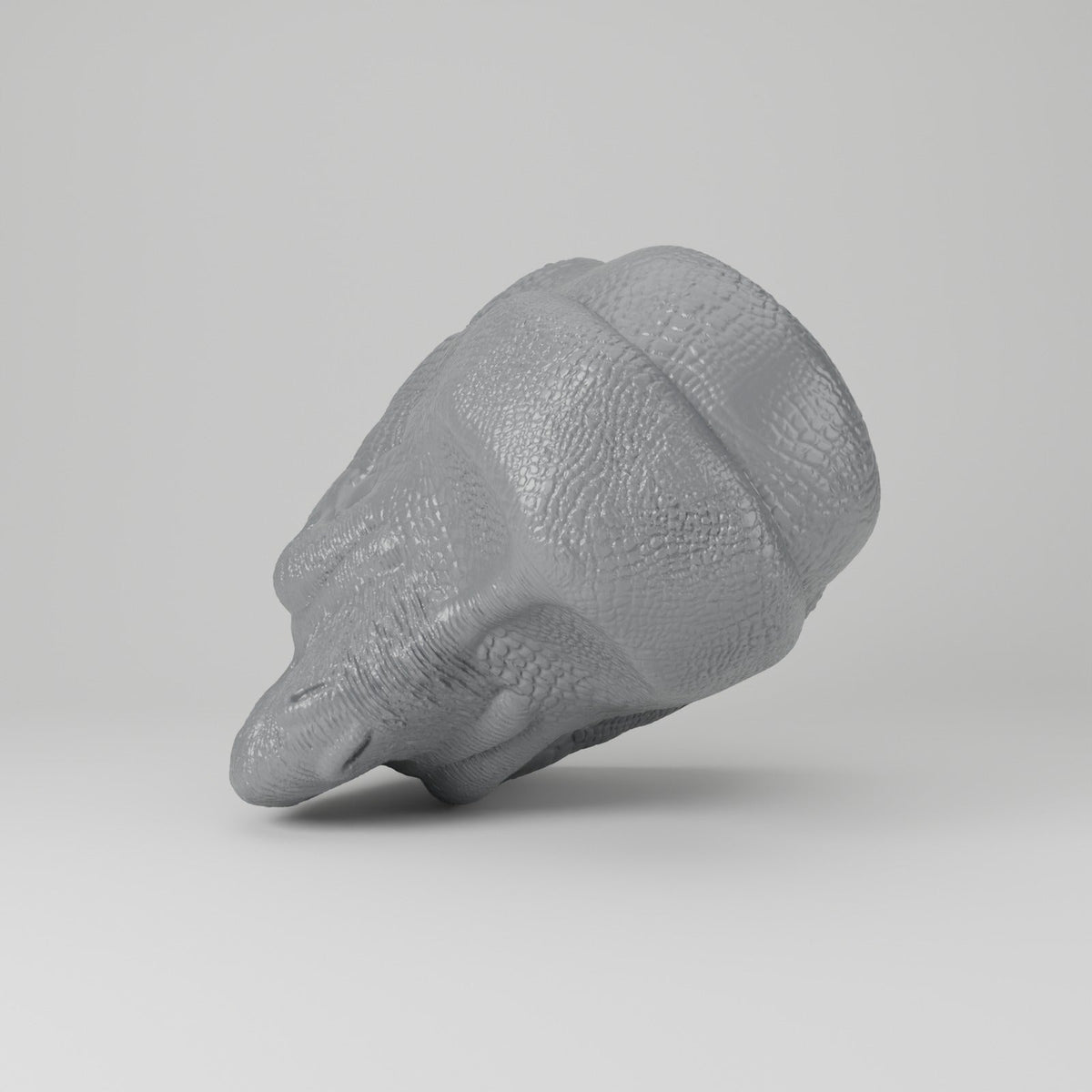 Brachiosaurus Head Wall Mount – Dinosaur Headphone Holder - Northern Foundry