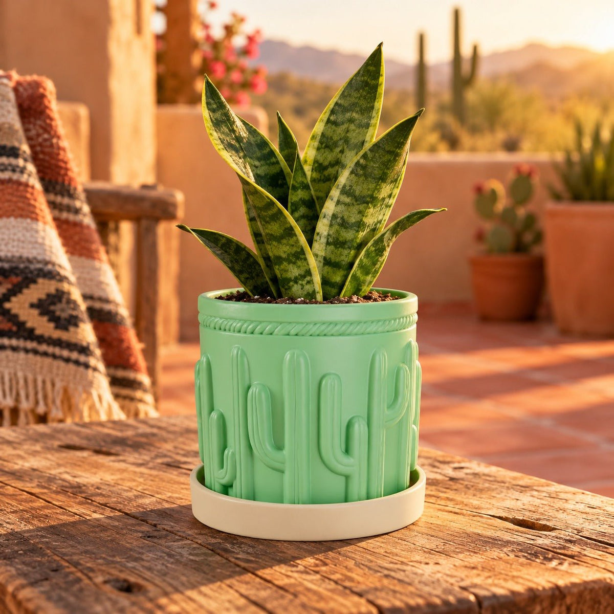 Cactus Planter Pot – Saguaro Relief Pot with Saucer - Northern Foundry