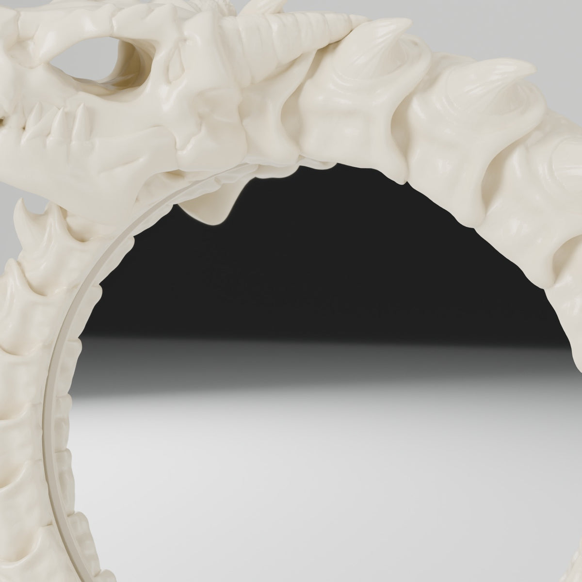 Dragon skeleton mirror wall mirror bone white detail close up