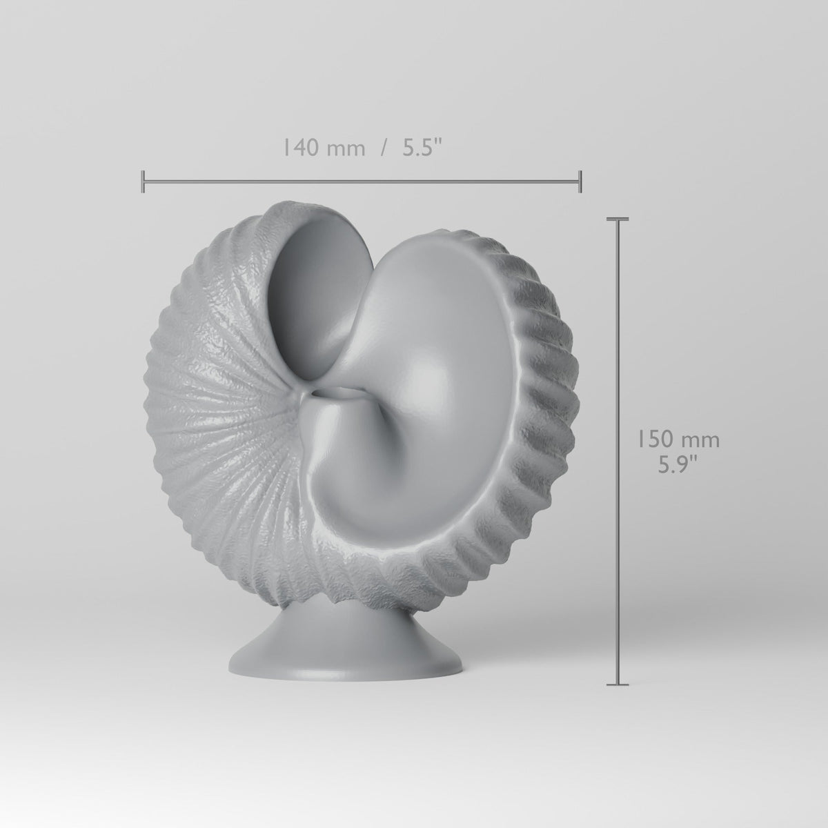 Rippled Seashell LED Candle Holder – Nautilus Shell Bud Vase - Northern Foundry